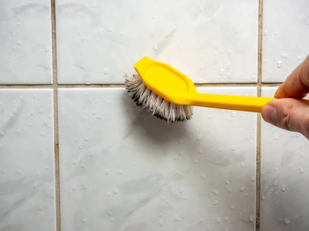 Best Residential Mold Removal  in Delta, CO