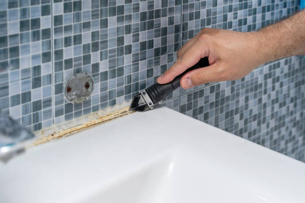 Best Fast Mold Removal  in Delta, CO